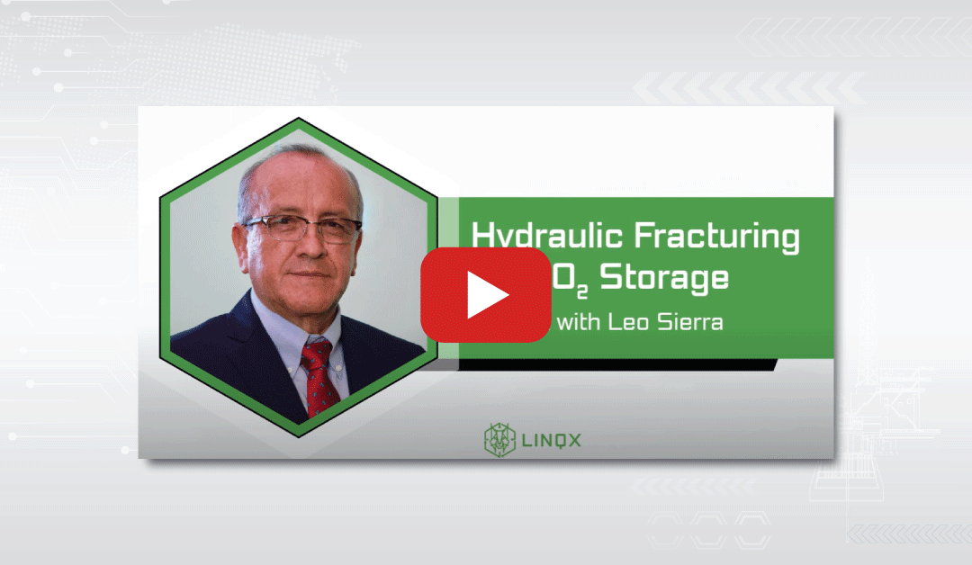 CO₂ Storage Injectivity Enhancement: The Role of Hydraulic Fracturing