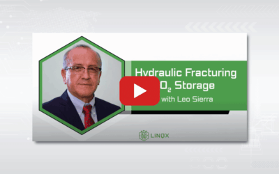 CO₂ Storage Injectivity Enhancement: The Role of Hydraulic Fracturing